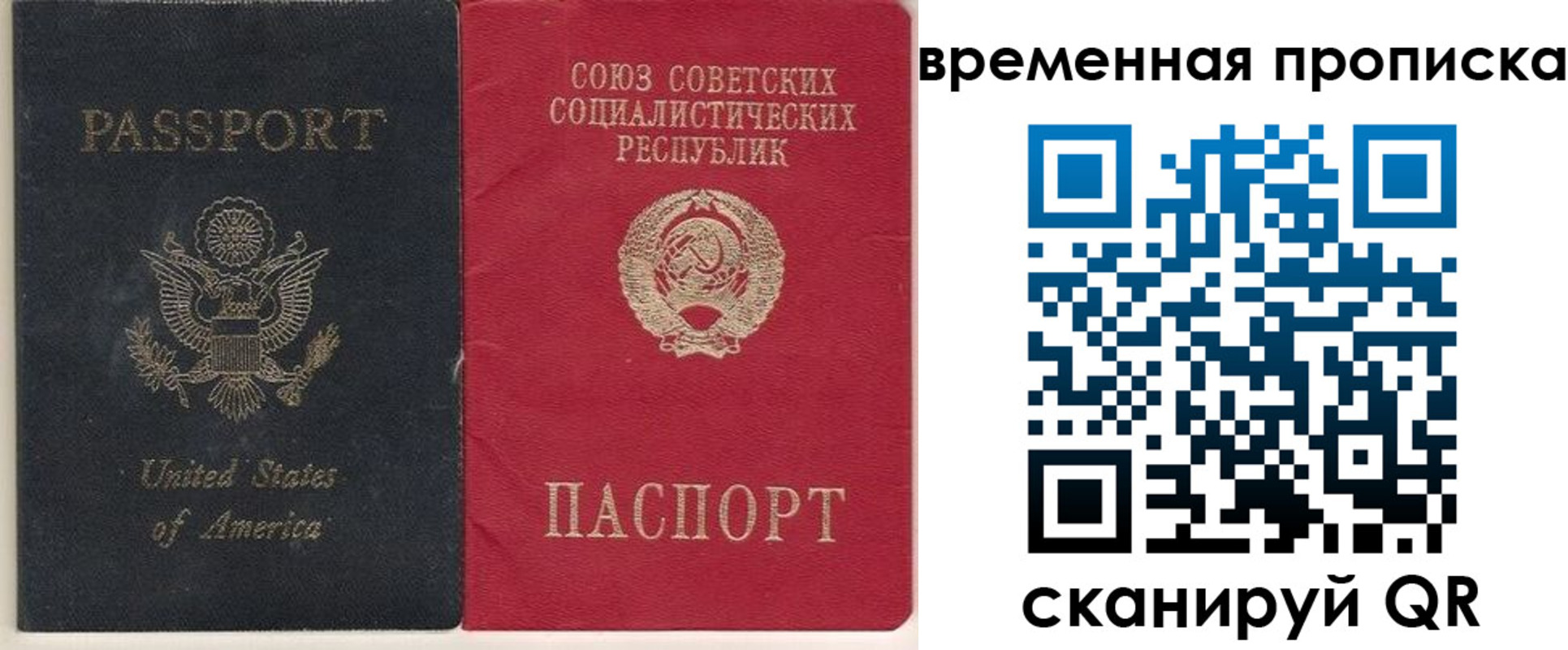 прописка для школы в Выборге